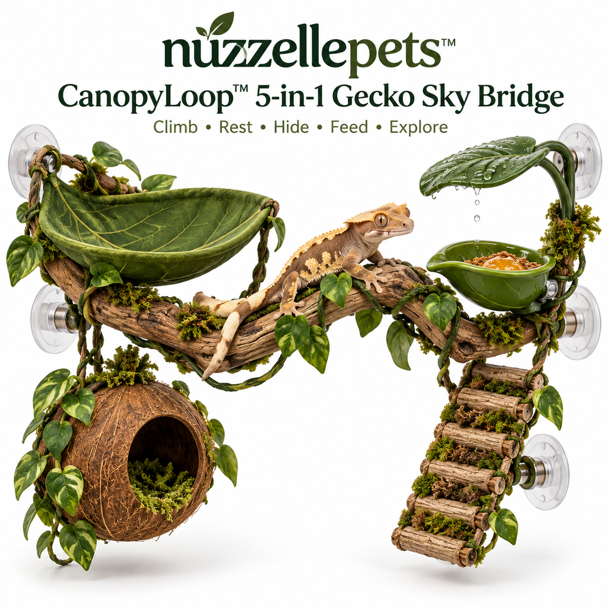 Nuzzellepets™  5-in-1 Gecko Sky Bridge – Climbing, Hammock, Hideaway, Feeding & Misting Enrichment Station for Crested Geckos, Day Geckos & Anoles