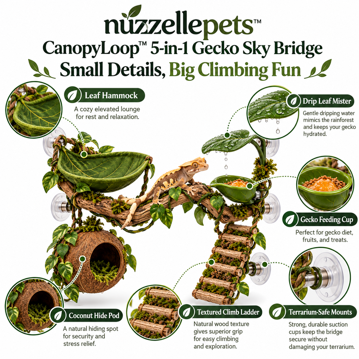 Nuzzellepets™  5-in-1 Gecko Sky Bridge – Climbing, Hammock, Hideaway, Feeding & Misting Enrichment Station for Crested Geckos, Day Geckos & Anoles