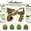Nuzzellepets™  5-in-1 Gecko Sky Bridge – Climbing, Hammock, Hideaway, Feeding & Misting Enrichment Station for Crested Geckos, Day Geckos & Anoles