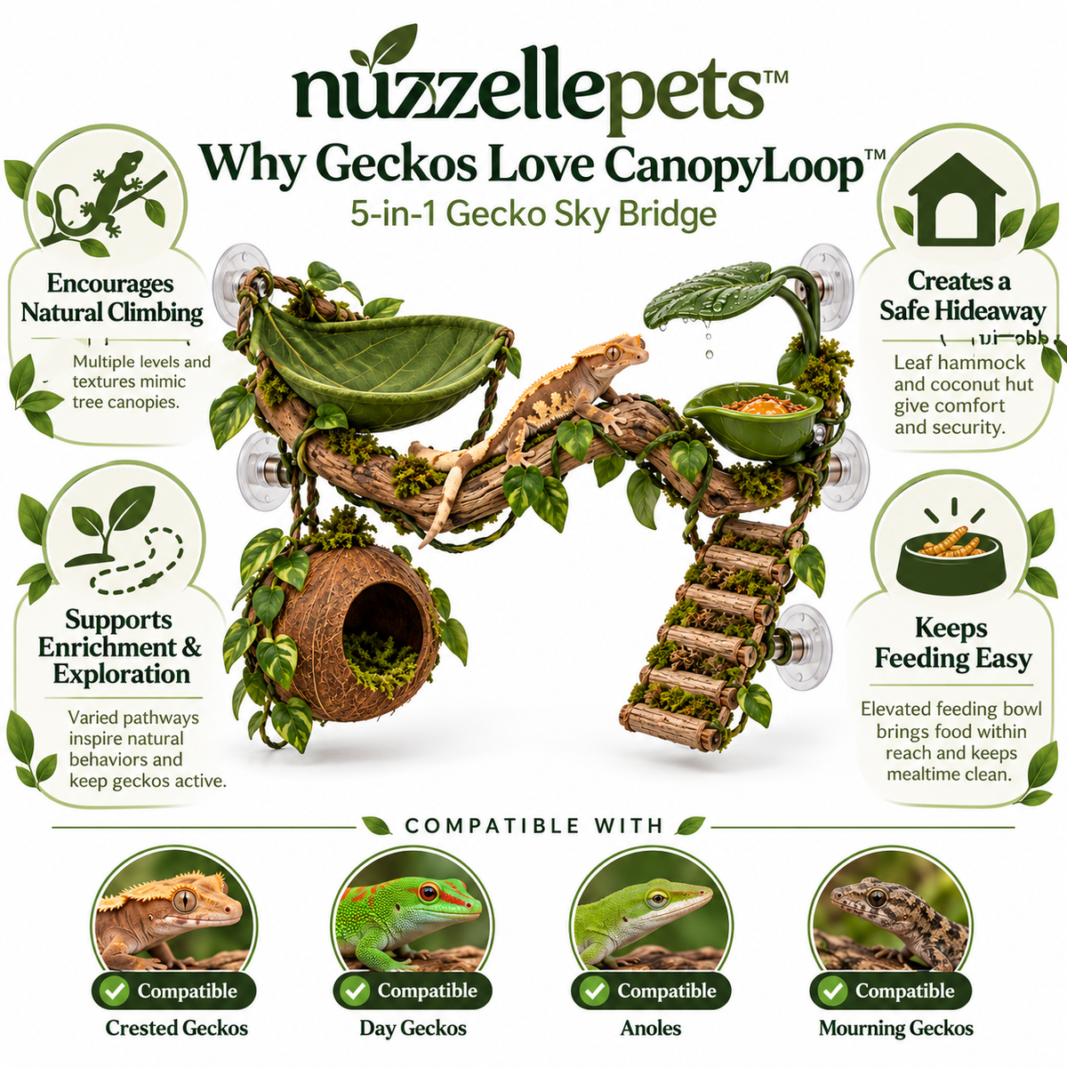 Nuzzellepets™  5-in-1 Gecko Sky Bridge – Climbing, Hammock, Hideaway, Feeding & Misting Enrichment Station for Crested Geckos, Day Geckos & Anoles
