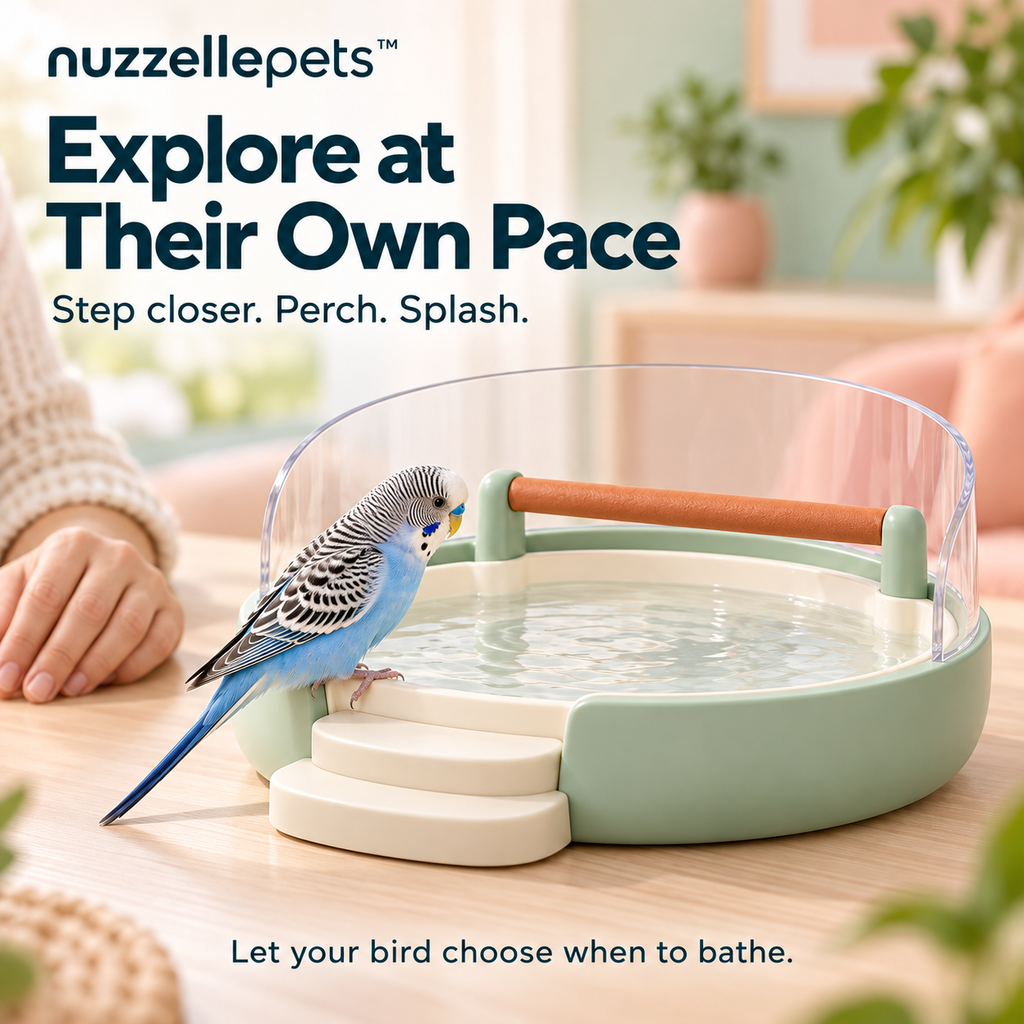 Nuzzellepets™ RipplePerch Bird Bathing Station with Perch, Easy-Access Steps & Clear Splash Guard