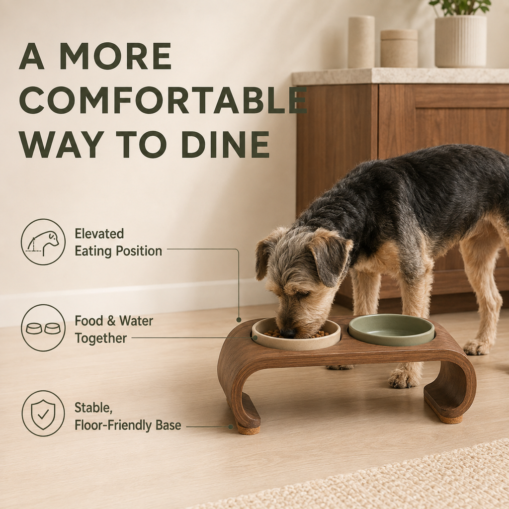 Nuzzellepets™ ArcTable Elevated Ceramic Bowl Set