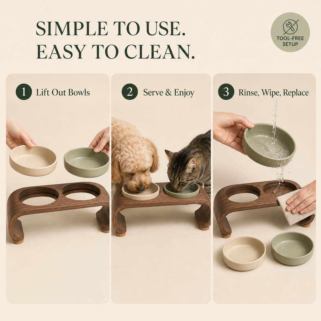 Nuzzellepets™ ArcTable Elevated Ceramic Bowl Set